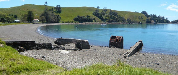 Motutapu Island