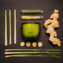 HO4004_assorted_06-1