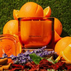 HO4005_assorted_03-1-scaled-1