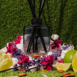 HO4010_assorted_03-1-scaled-1