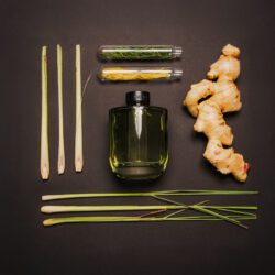 HO4013_assorted_05-1