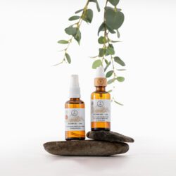 Arnica Recovery Set